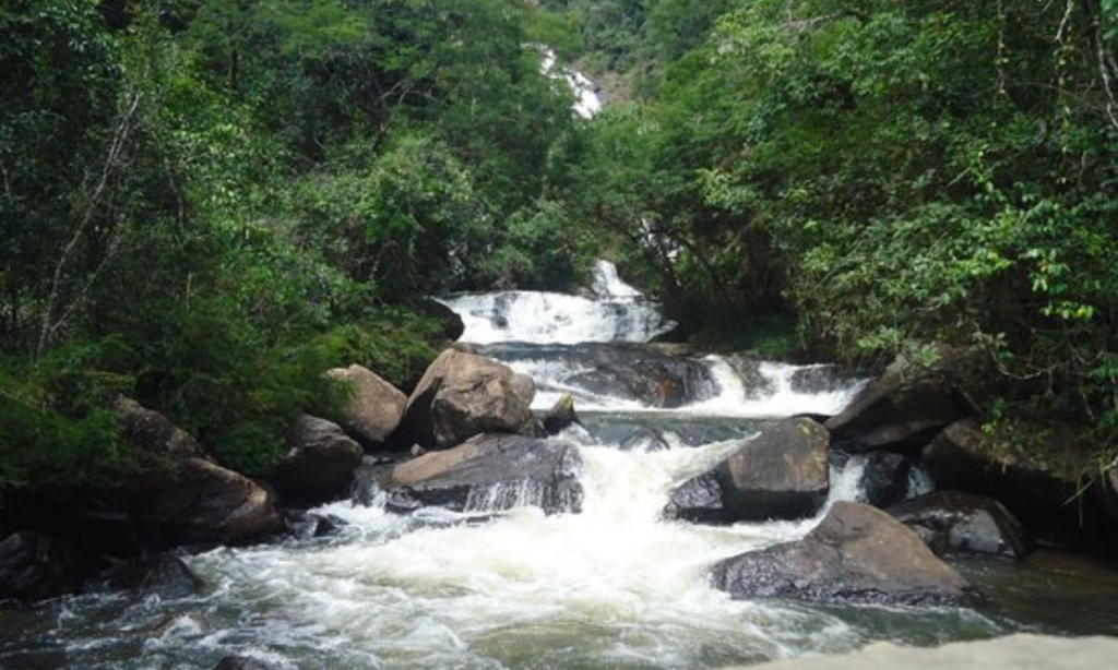 Cachoeira dos Pretos