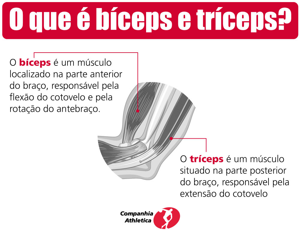 O que é bíceps e tríceps?
O bíceps é um músculo localizado na parte frontal do braço, responsável principalmente pela flexão do cotovelo e pela rotação do antebraço. 
O tríceps é um músculo situado na parte posterior do braço, responsável pela extensão do cotovelo. 
